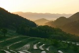 千枚田の夜明け