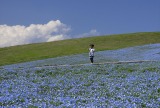 華の丘の少女