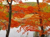 宮原　養治侶