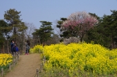 鈴木　靖介