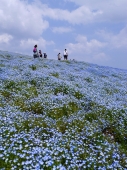 宮本　文江