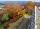 宮原　養治侶