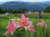 宮原　養治侶