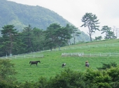 宮原　養治侶