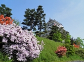 宮原　養治侶