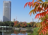 宮原　養治侶