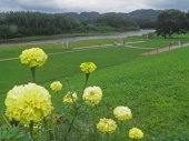 宮原　養治侶