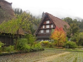 宮原　養治侶