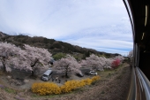 山崎　勝敬