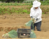 成田　幸子