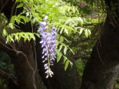 宮原　養治侶